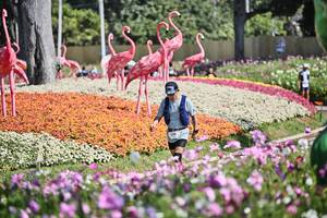 BIB: 
                            <button type="button" onclick="openModal(27794331)" class="btn btn-primary btn-sm float-right btn-popup" data-toggle="modal" data-target=".modal-high-quality">
                        <i class="fas fa-shopping-cart"></i> Add to Cart
                    </button>
                                            <button type="button" onclick="isThisMe(27794331, true)" class="btn btn-success btn-sm float-right btn-popup btn-isme hidden" data-toggle="tooltip" data-placement="bottom" title="นี่คือรูปของคุณใช่ไหม คลิกที่นี่เพื่อเอาเข้าอัลบั้ม">
                        <i class="fas fa-plus"></i> Add to album
                    </button>
                    <button type="button" onclick="isThisMe(27794331, false)" class="btn btn-warning btn-sm float-right btn-popup btn-isnotme hidden">
                        <i class="fas fa-ban"></i> Remove from album
                    </button>